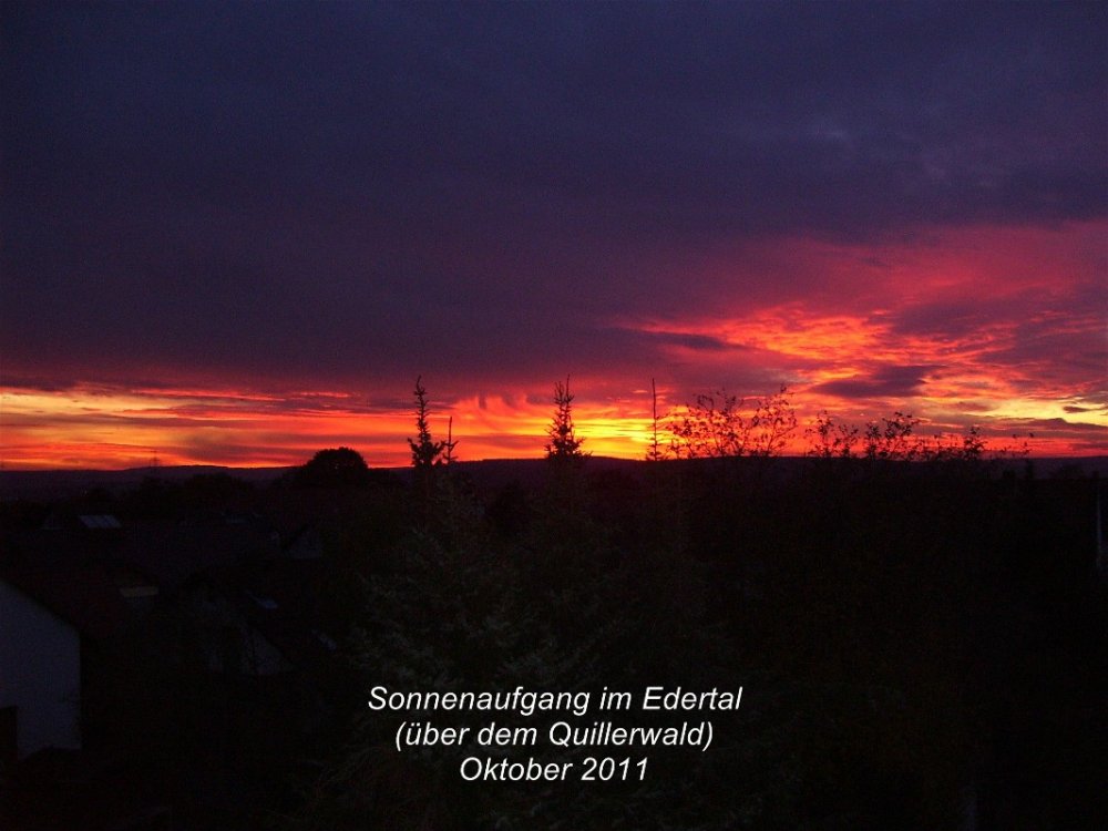 100_0820_Sonnenaufgang_Deute_H.Pfl__ger.jpg