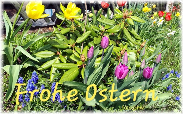 Web Web 20190417 Frohe Ostern