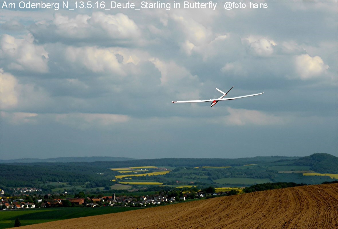 Web P1060296 Modellfliegen 13.5.16 Odenberg N Deute Starling in Butterfly