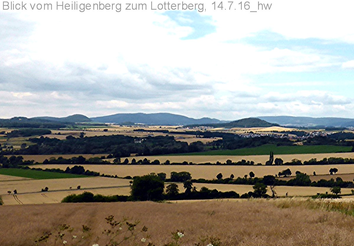 Web P1080825 Deute vom Heiligenberg 14.7.16 hw